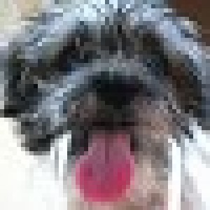 Picture of Olga Leiria