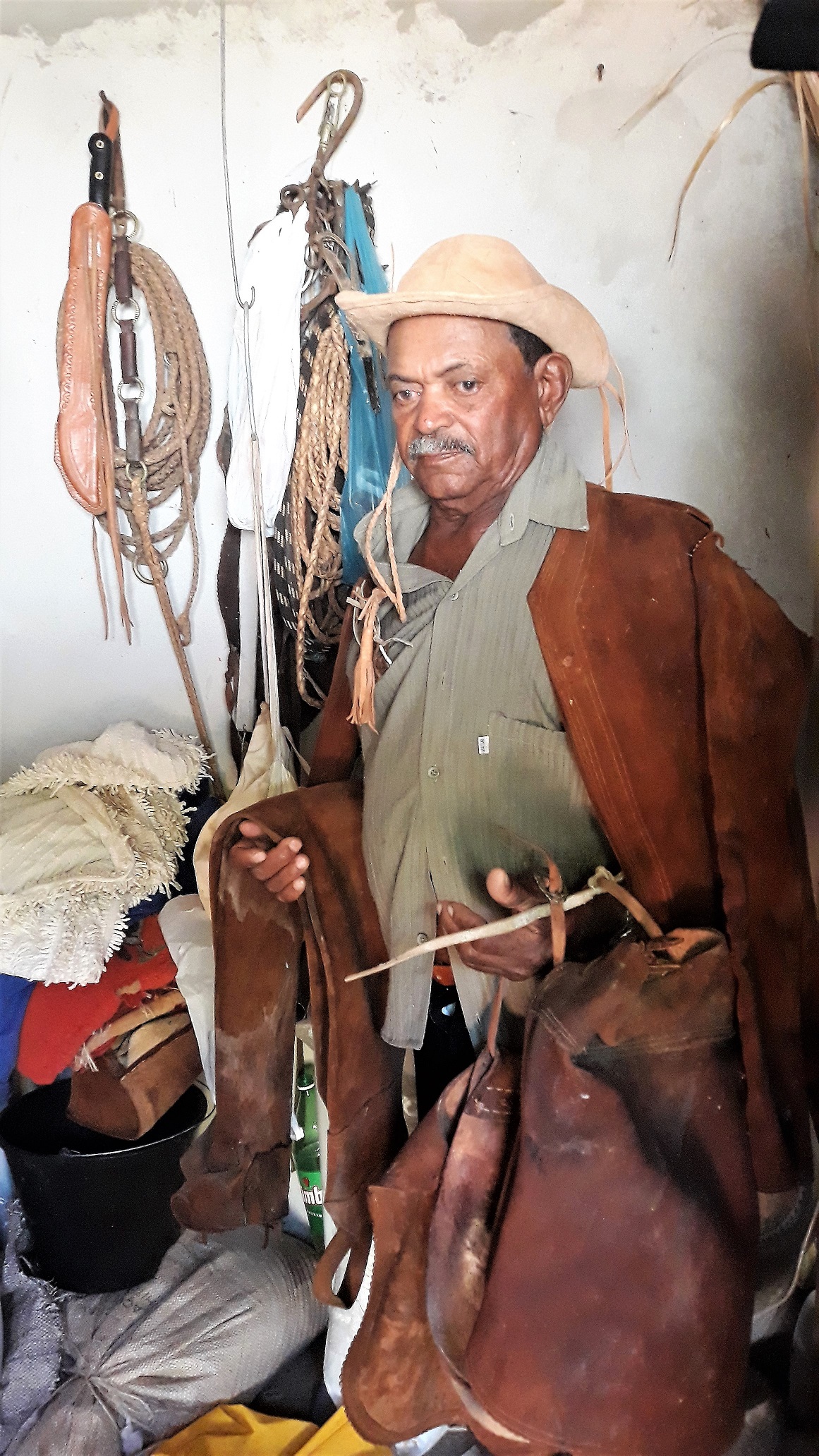 Velhos vaqueiros, bois e mandingas – Meus Sertões