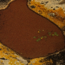 Teofilândia Teofilândia