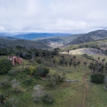 Paraíso ambiental Paraíso ambiental
