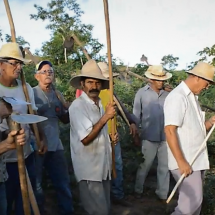Tradição Tradição