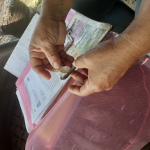 Resistência da Cabrita Resistência da Cabrita