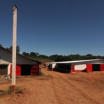 Unidades de engorda de aves em Rui Barbosa, Unidades de engorda de aves em Rui Barbosa,