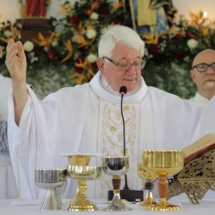 Padre Luís na missa por seus 50 anos de sacerdócio. Foto: Thomas Bauer
