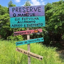 Campanha para preservar o mangue. Foto: Guilherme dos Santos