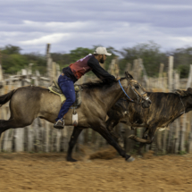 Uma bela corrida. Foto: Thomas Bauer Uma bela corrida. Foto: Thomas Bauer